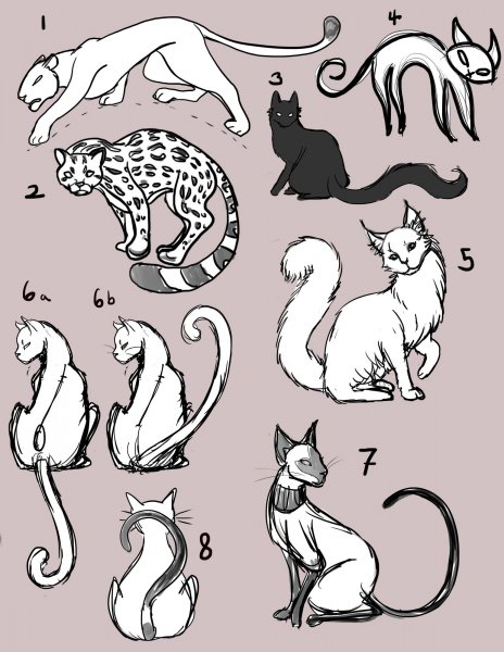 Кошачий хвост скетч