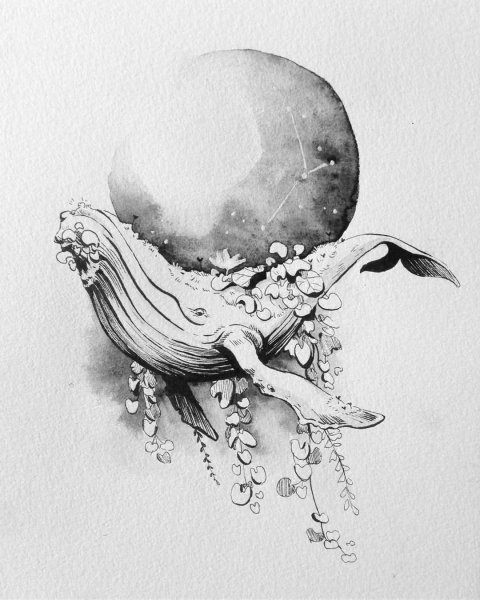 Кит в графике