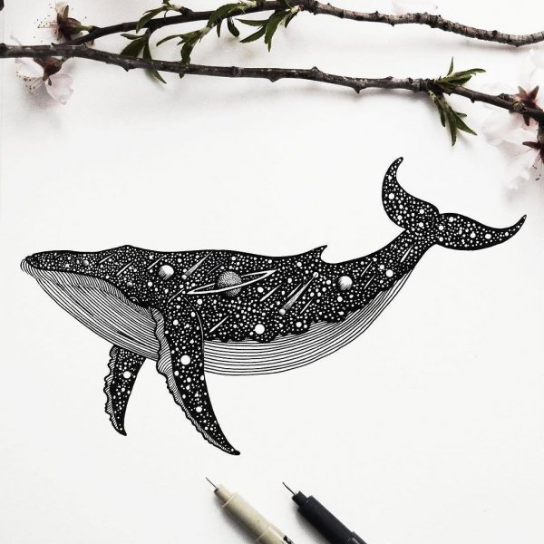 Кит рисунок