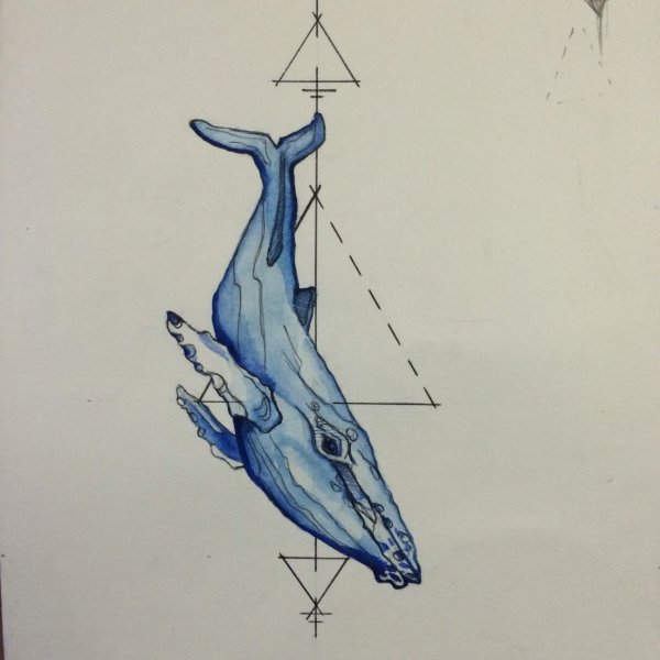 Татуировка кит эскизы