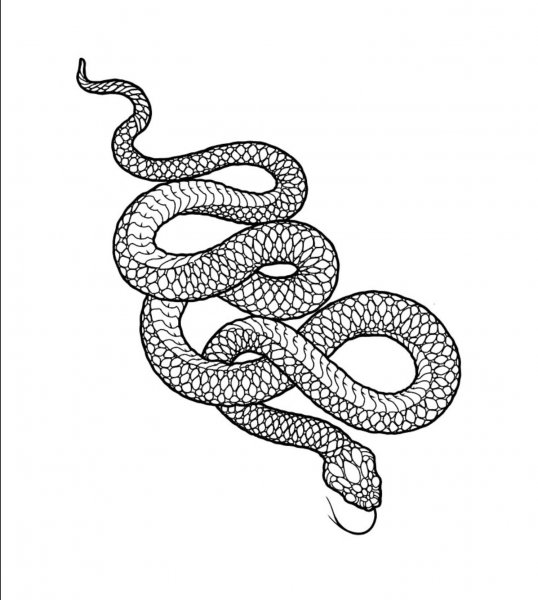 Тату змеи эскизы