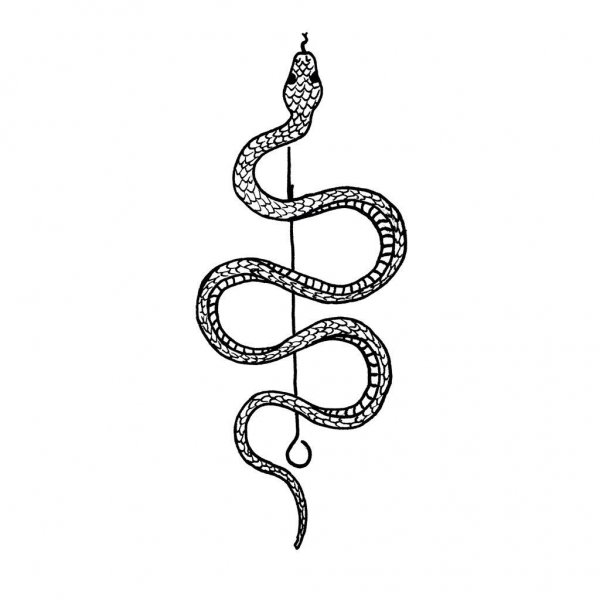 Тату змея маленькая эскиз