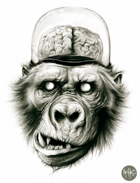Горилла эскиз тату