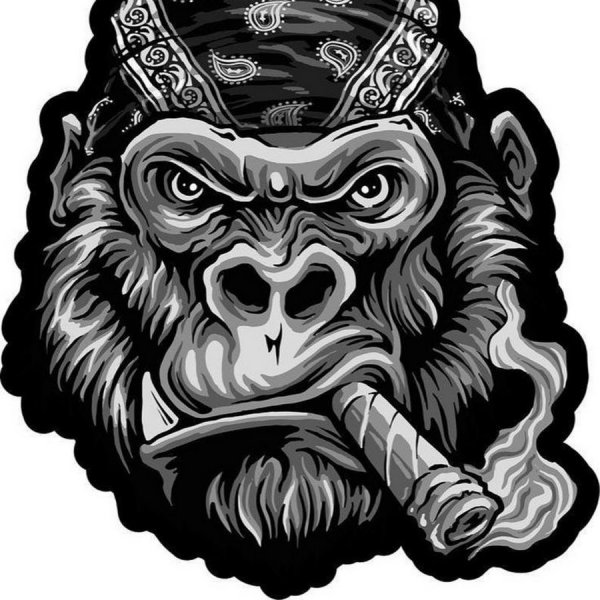 Обезьяна с короной