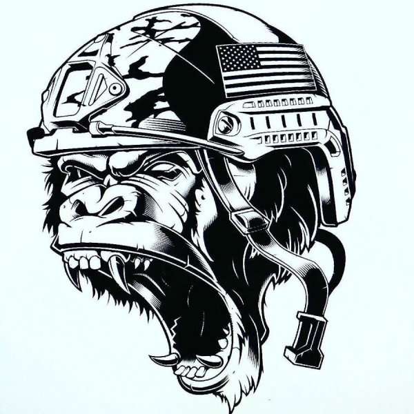 Горилла в каске