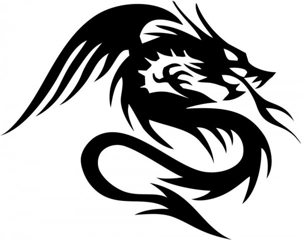 Тату дракон