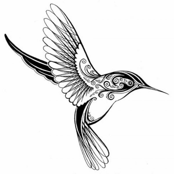 Тату эскизы птицы