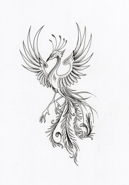 Птица Феникс тату