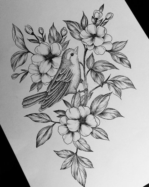 Эскиз тату птица с цветами