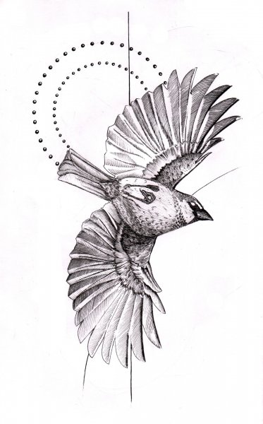 Графические птицы