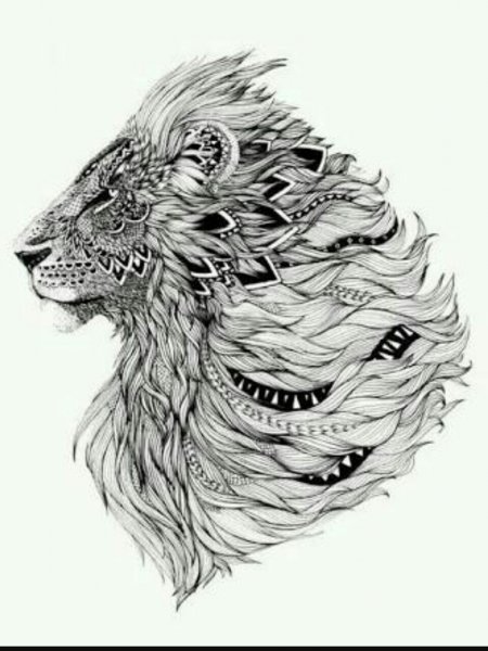 Алекс Конахин