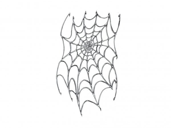 Паутинка эскиз
