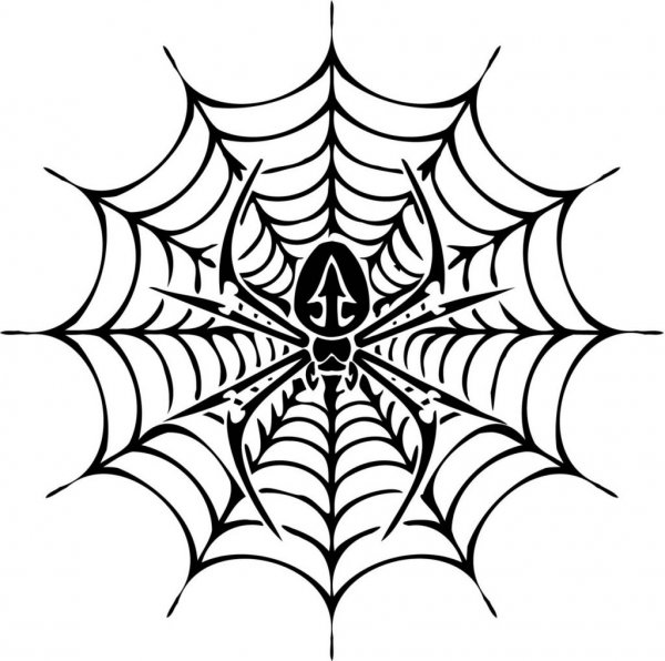 Тату паук в паутине