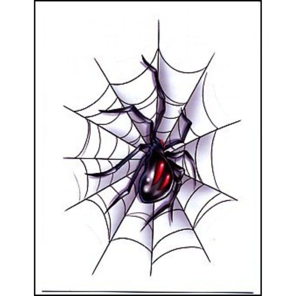 Паучок на паутине эскиз