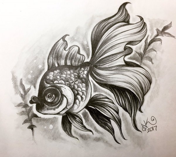 Стилизованные рыбы