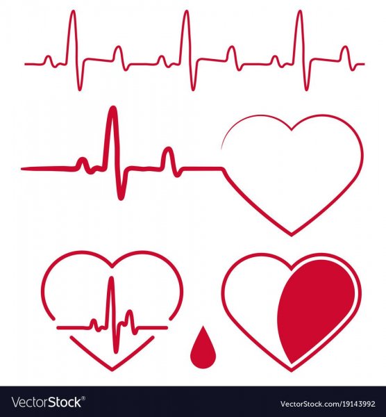 Кардиограмма любви