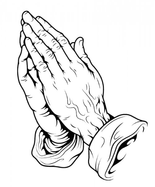 Сложенные ладони