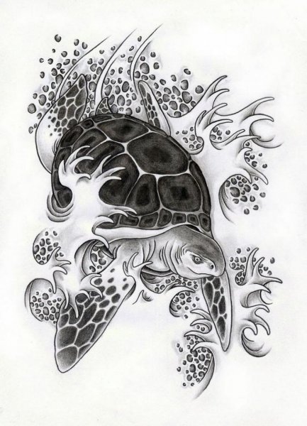 Черепашка тату эскиз