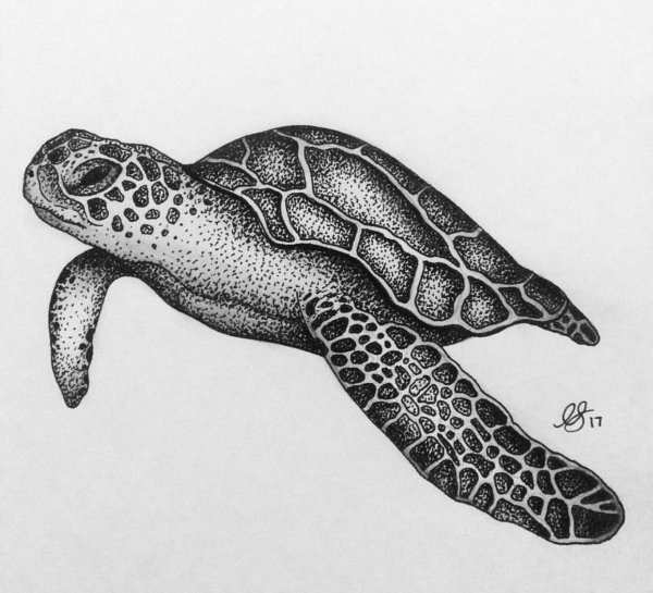 Стилизованные морские черепахи