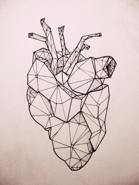 Геометрический Лисенок