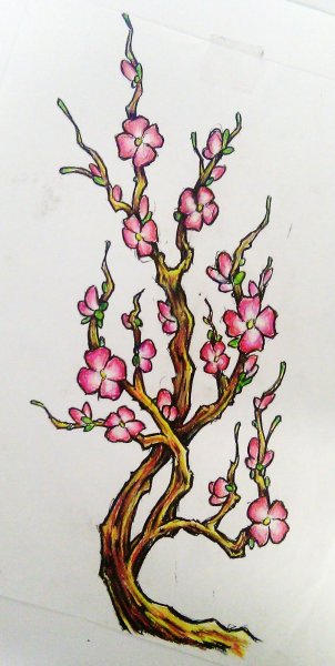 Ветка Сакуры эскиз