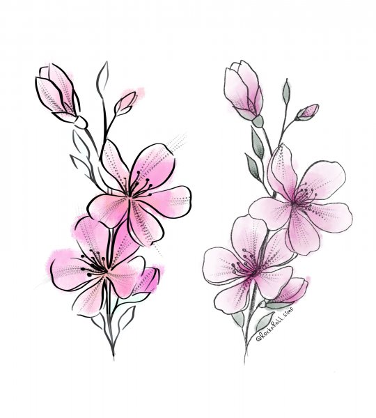 Ветка Сакуры эскиз