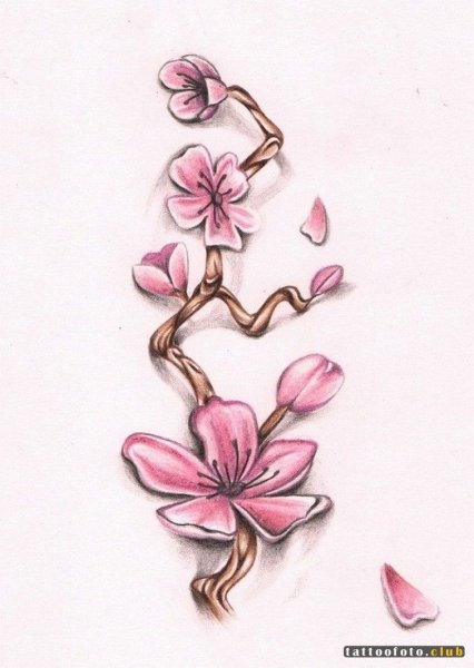 Ветка Сакуры эскиз