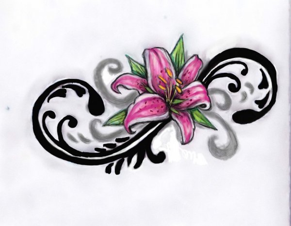 Лилия эскиз