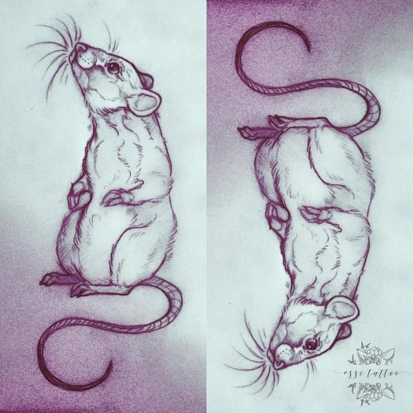 Мышь тату эскиз