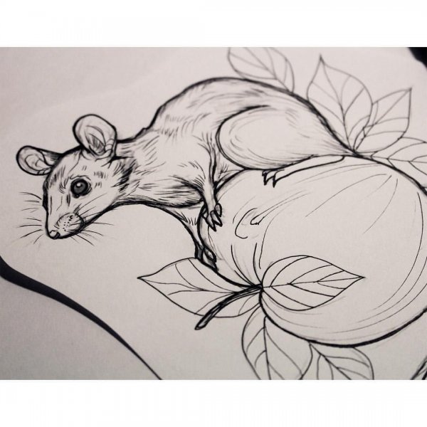 Тату крыса эскиз