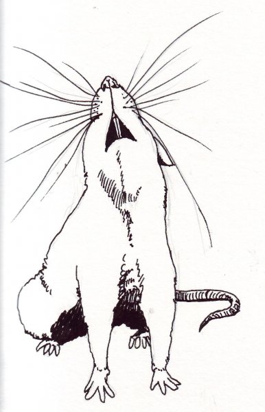 Стилизованная крыса