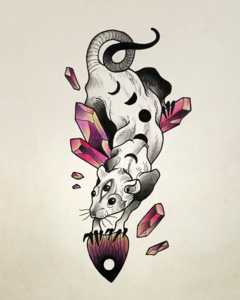 Крыса эскиз