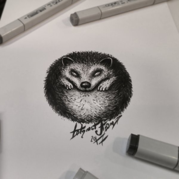 Еж тату эскиз