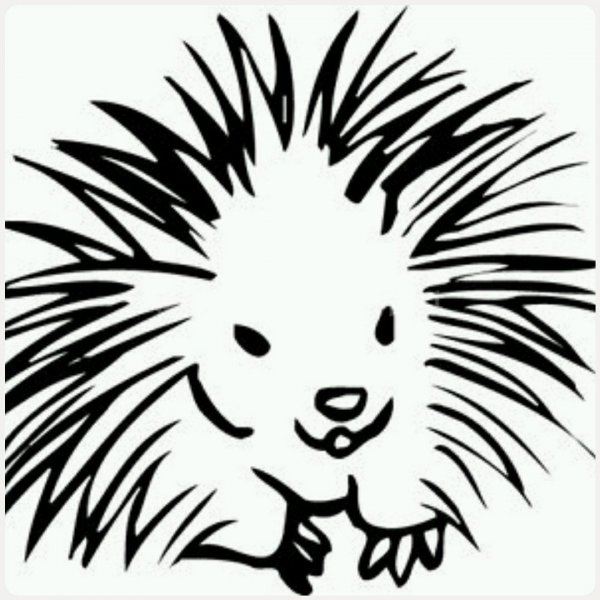 Дикобраз стилизованный