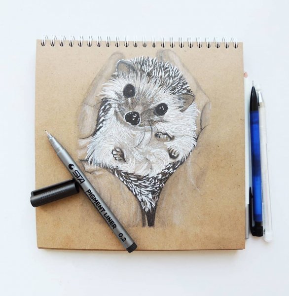 Еж тату эскиз