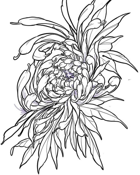 Хризантемы и пионы тату