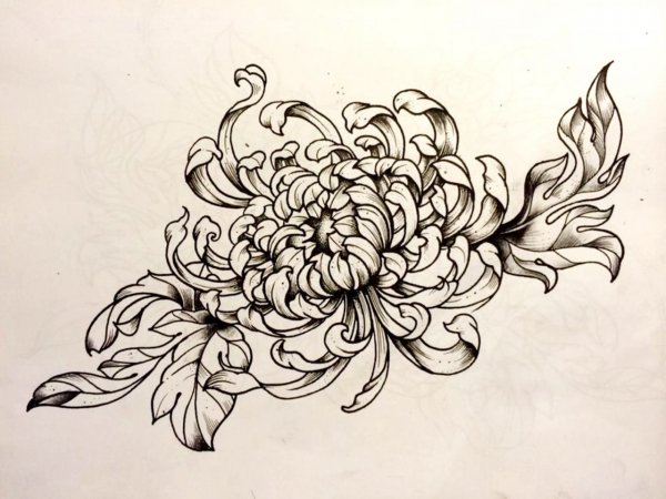 Японские цветы тату эскизы