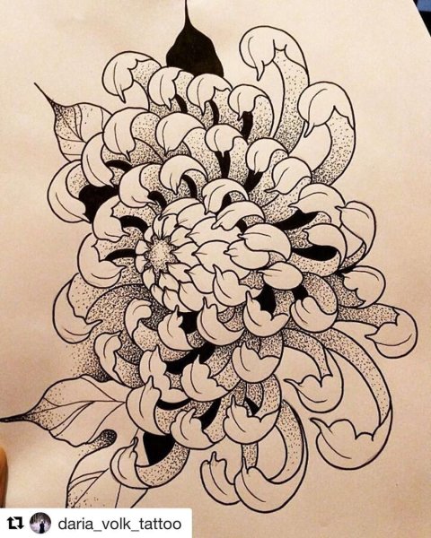 Пионы ирезуми