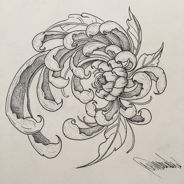 Хризантема неотрад