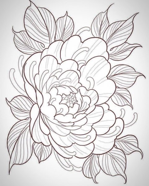 Пионы тату контур