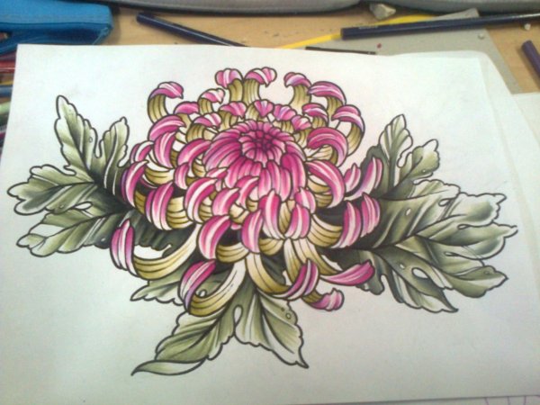 Хризантема Ориентал тату