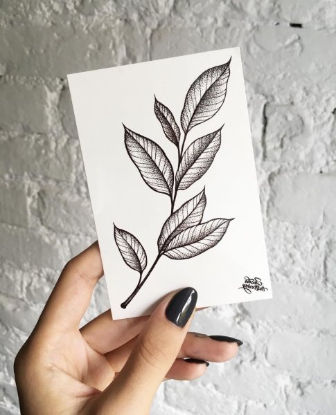 Эскиз тату ветка с листьями