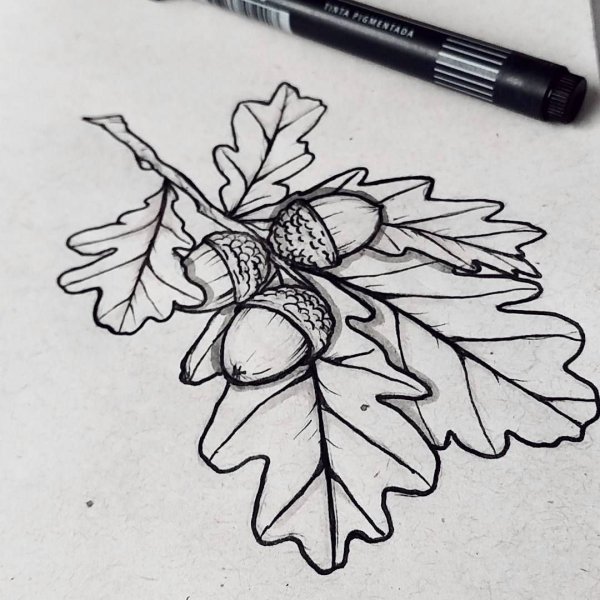 Тату дубовые листья эскизы