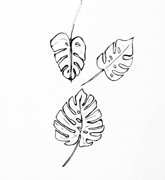 Монстера эскиз тату