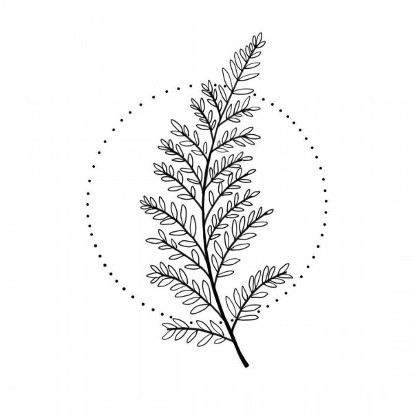 Тату папоротник