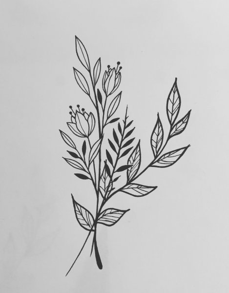 Листья тату Графика