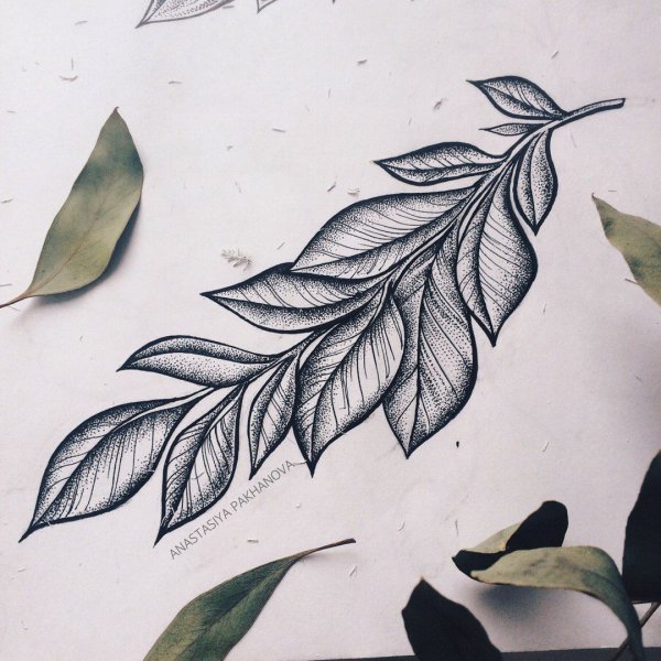 Эскиз тату ветка с листьями