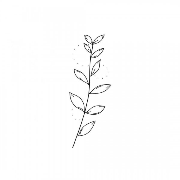 Эскиз тату ветка с листьями