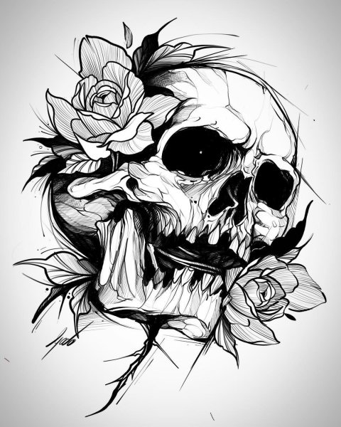Эскизы черепов
