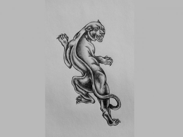 Зарисовка пантеры тату